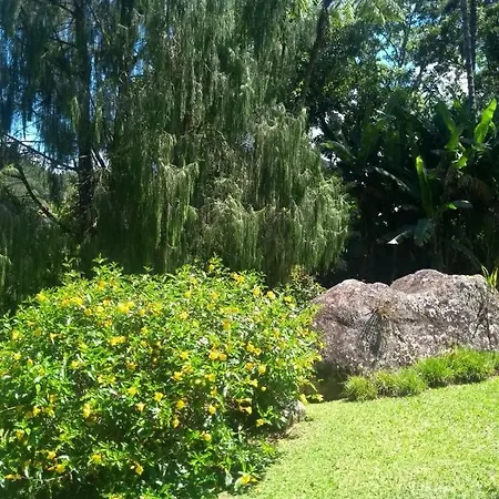 Bangalo A Beira Do Rio Em Plena Natureza Petropolis  Room photo
