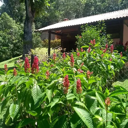 Bangalo A Beira Do Rio Em Plena Natureza Petropolis  Room photo
