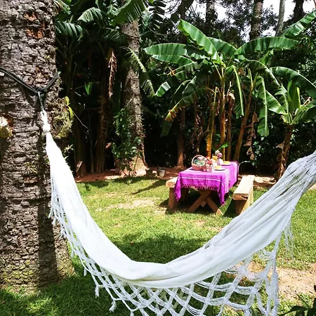 Bangalo A Beira Do Rio Em Plena Natureza Petropolis  Room photo