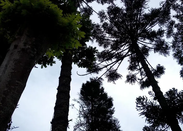 Bangalo A Beira Do Rio Em Plena Natureza