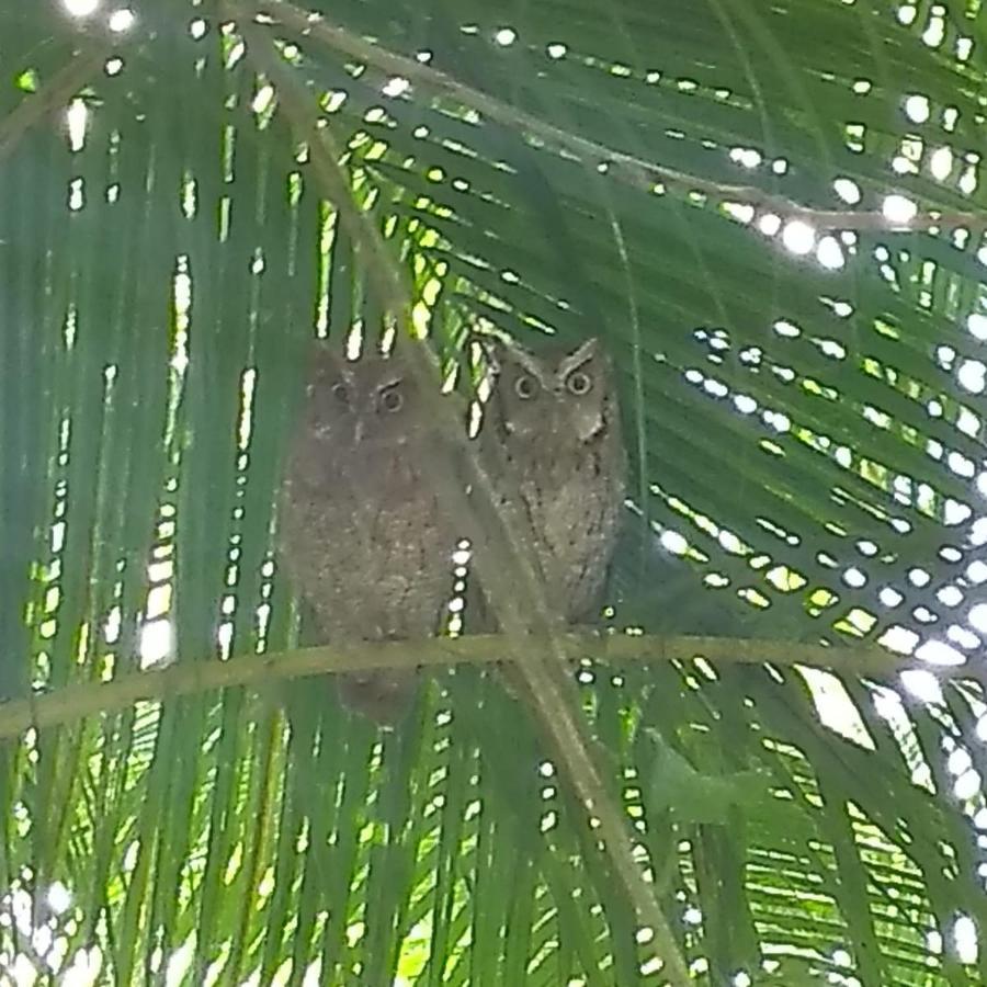 Bangalo A Beira Do Rio Em Plena Natureza *