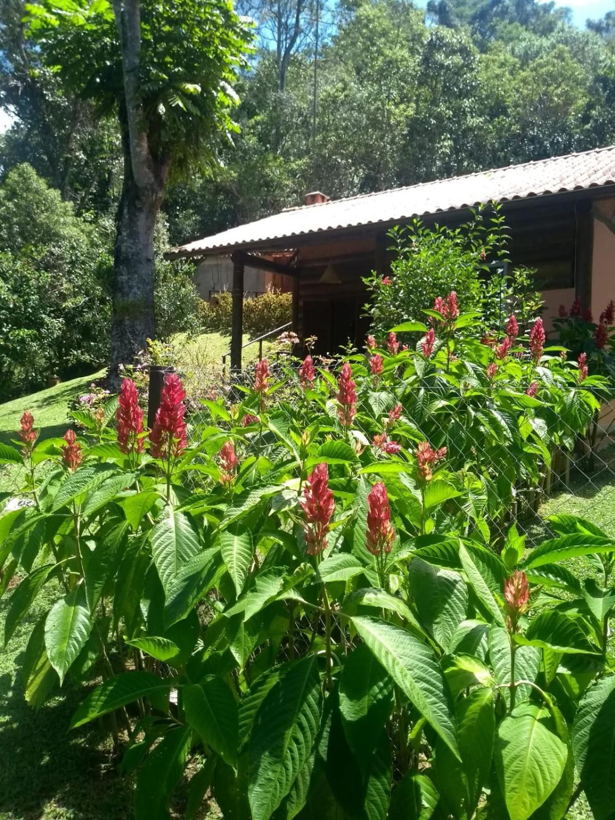 Bangalo A Beira Do Rio Em Plena Natureza Petropolis (Rio de Janeiro)
